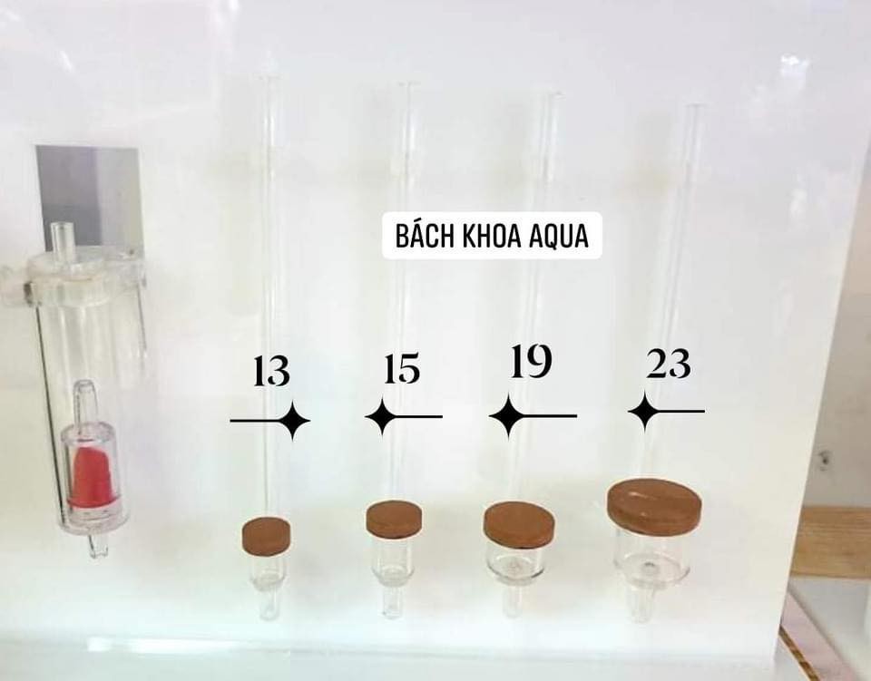 Quả sủi siêu mịn CO2
