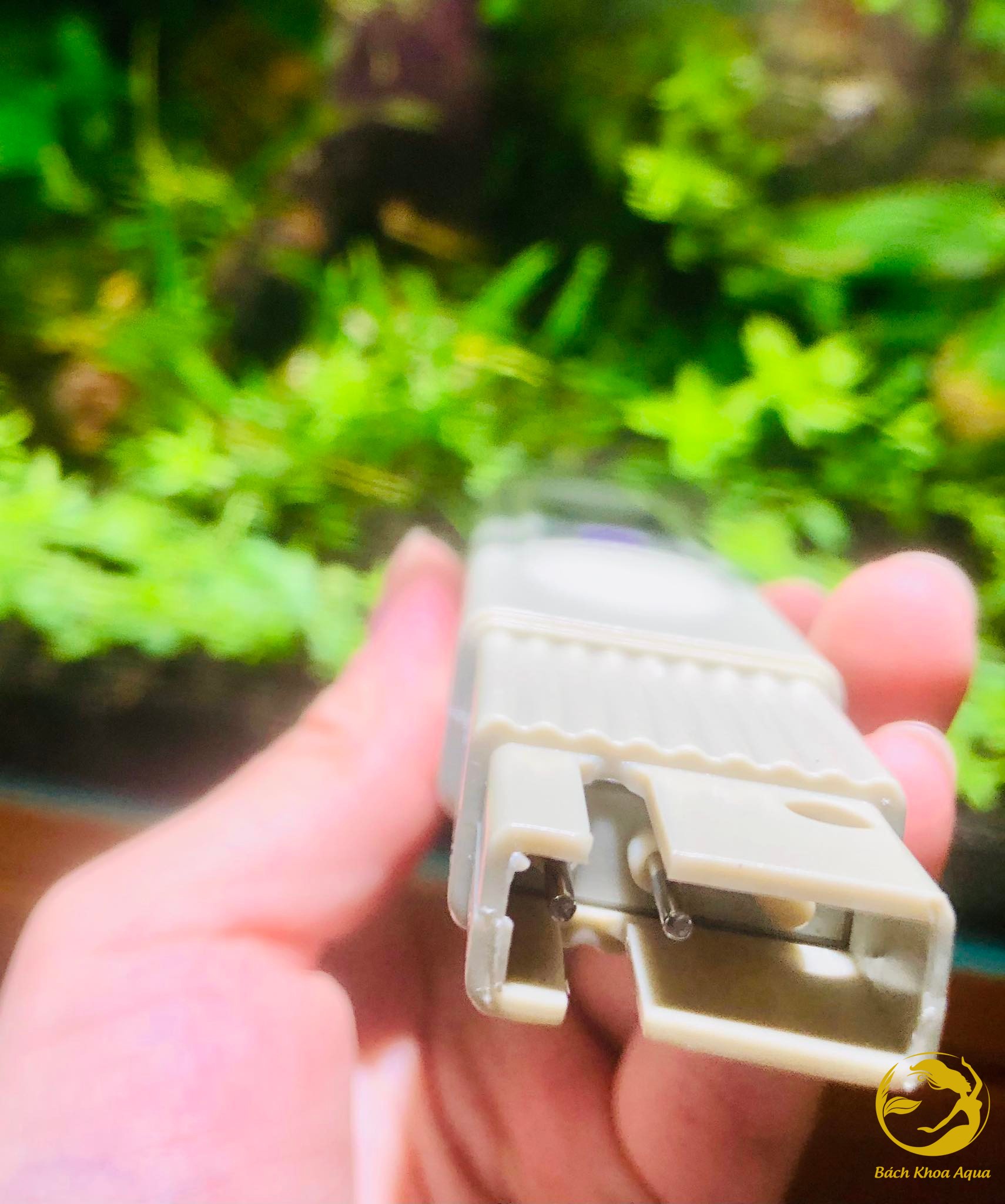 Bút đo TDS-3 chỉ số trong nước