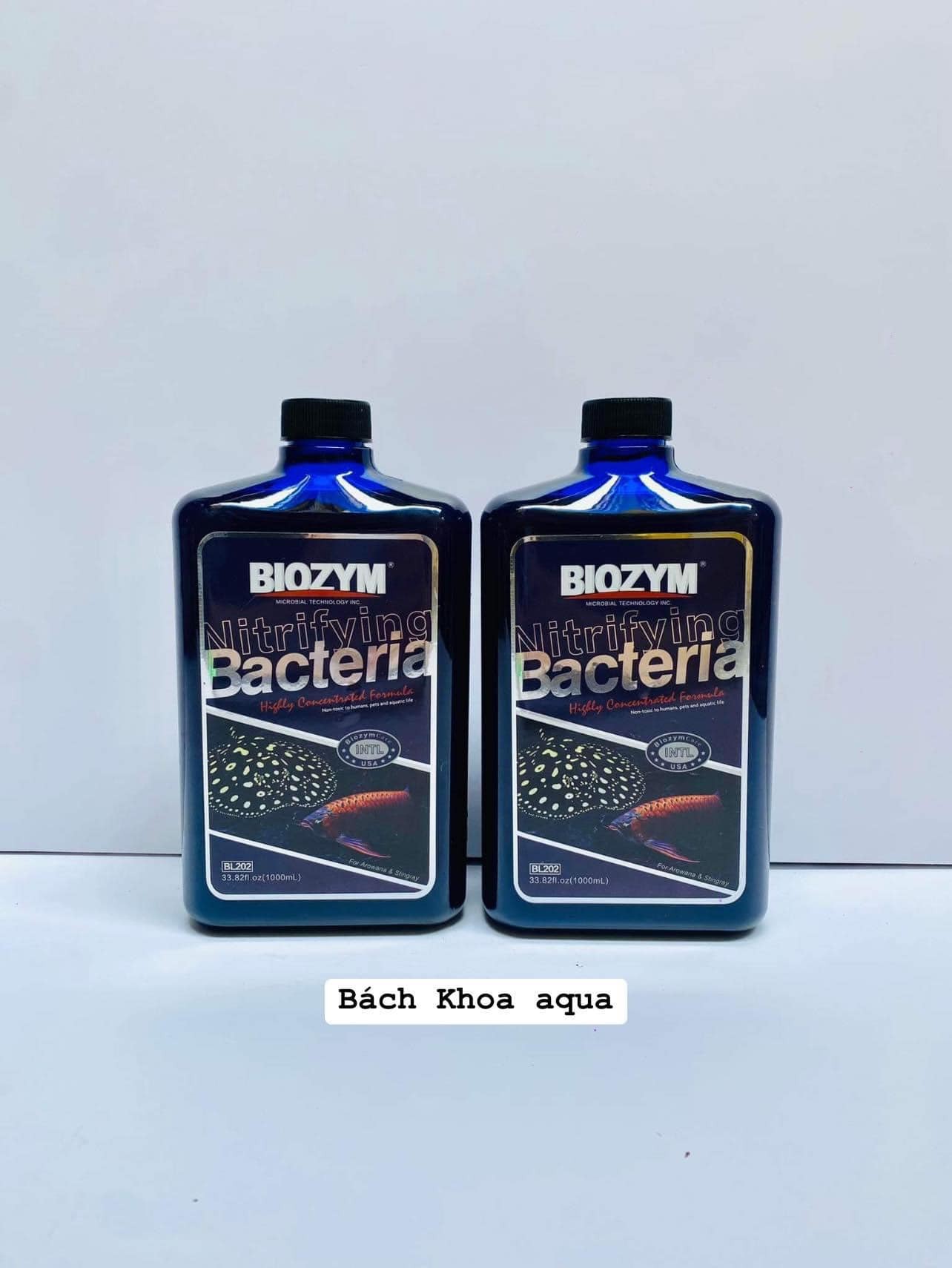 Vi sinh Biozym đậm đặc (Arowana & Stingray) chuyên cá Rồng và cá Đuối - chai 1L