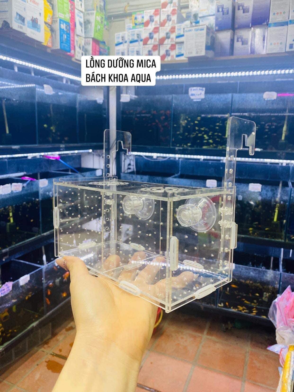 Lồng mica dưỡng cá tép đủ kích thước có núm hít