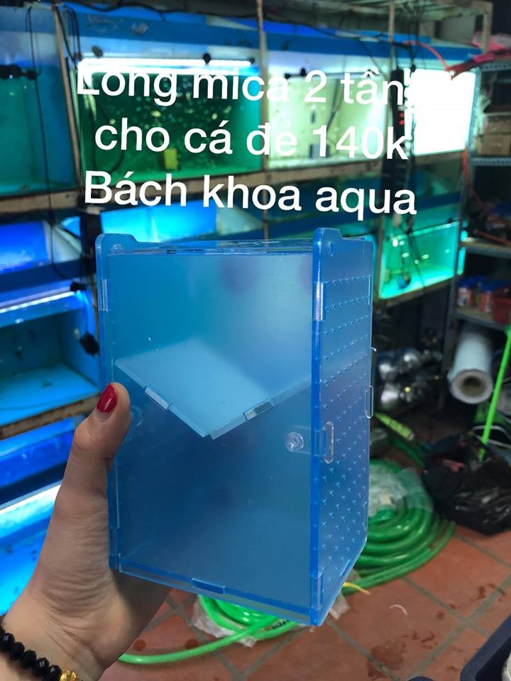 Lồng ghép mica cho cá đẻ