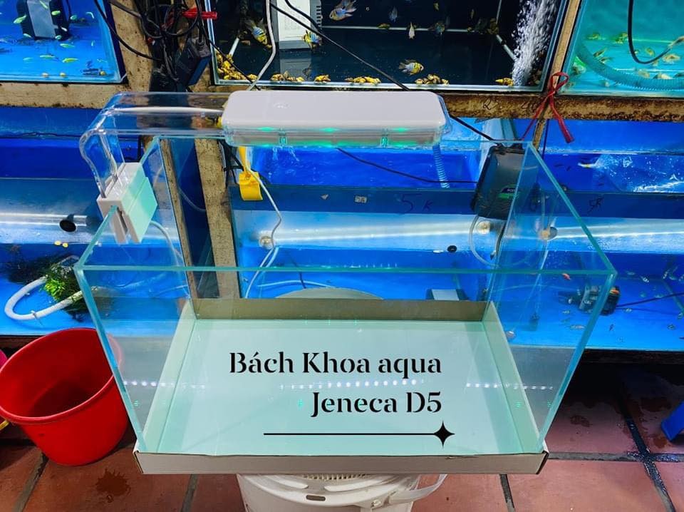 Đèn Led Apple - Jeneca D3 Jeneca D5 Jeneca D7