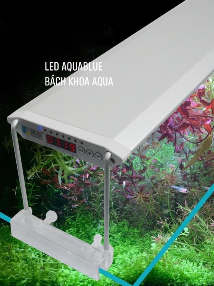Đèn AquaBlue RGB Smart Tích hợp bảng điều chỉnh thông minh