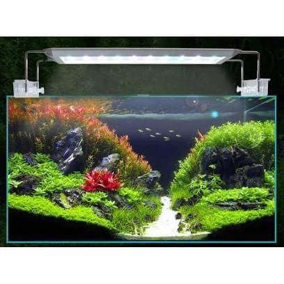 Đèn AquaBlue RGB Smart Tích hợp bảng điều chỉnh thông minh