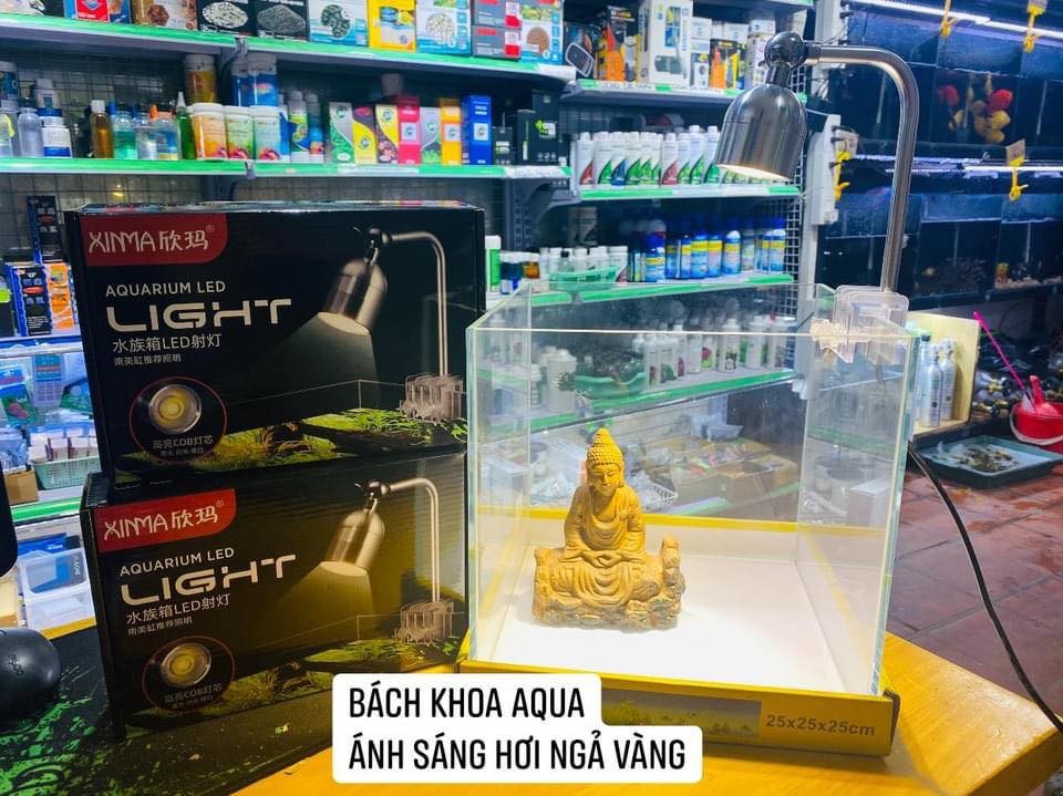 Đèn Led rọi XIMA 3 chế độ màu 5w-7w