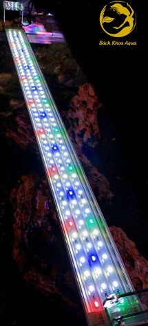 Đèn Led thủy sinh A1 Pro Plant