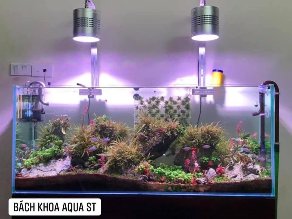 Đèn Led Week Treo T70 - T90 RGB Pro
