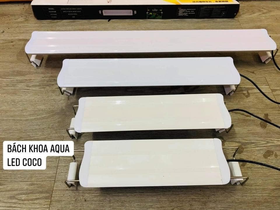 Đèn Led COCO ánh sáng Trắng Xanh