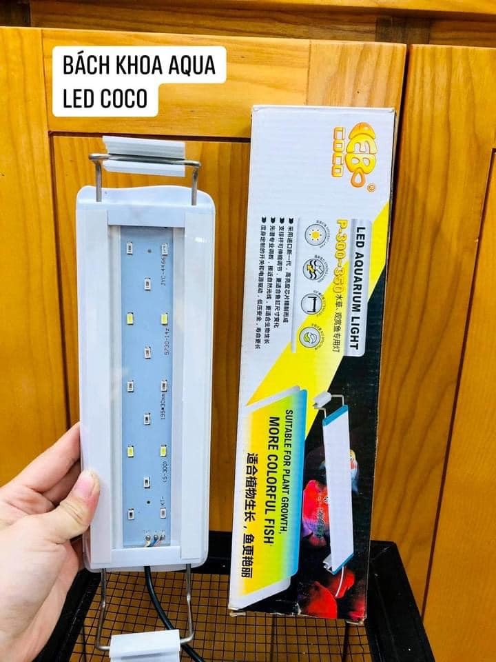 Đèn Led COCO ánh sáng RGB