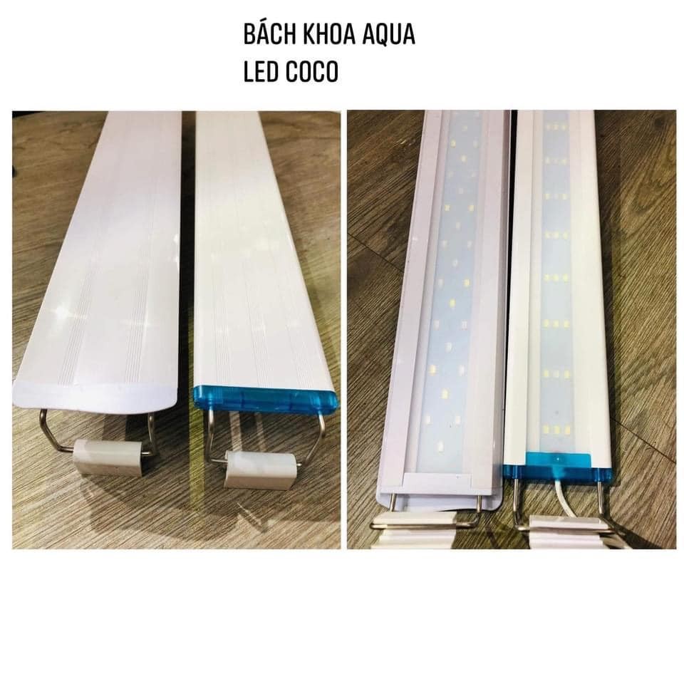 Đèn Led COCO ánh sáng Trắng Xanh