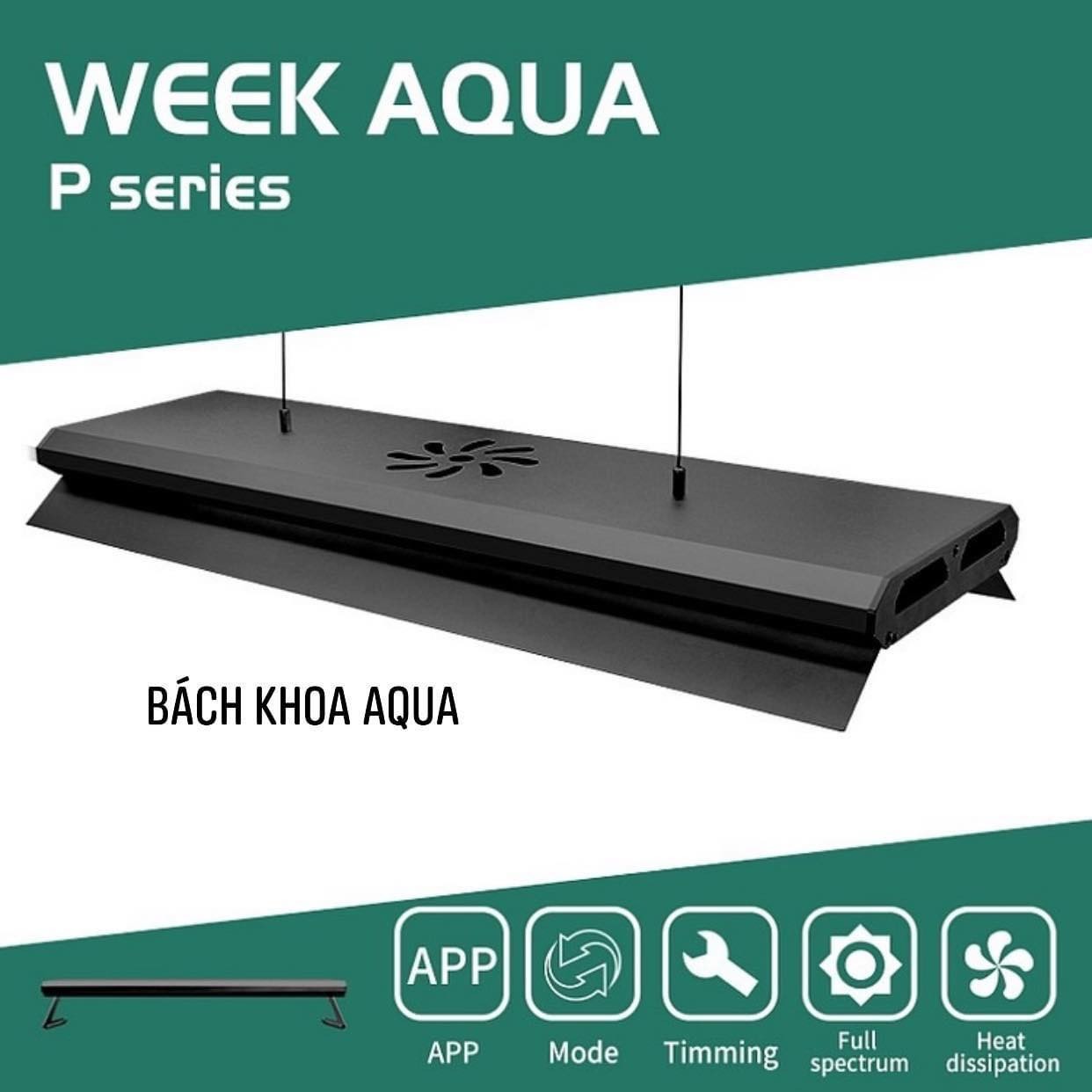 Led Week Aqua phiên bản mới P Pro RGB - Series