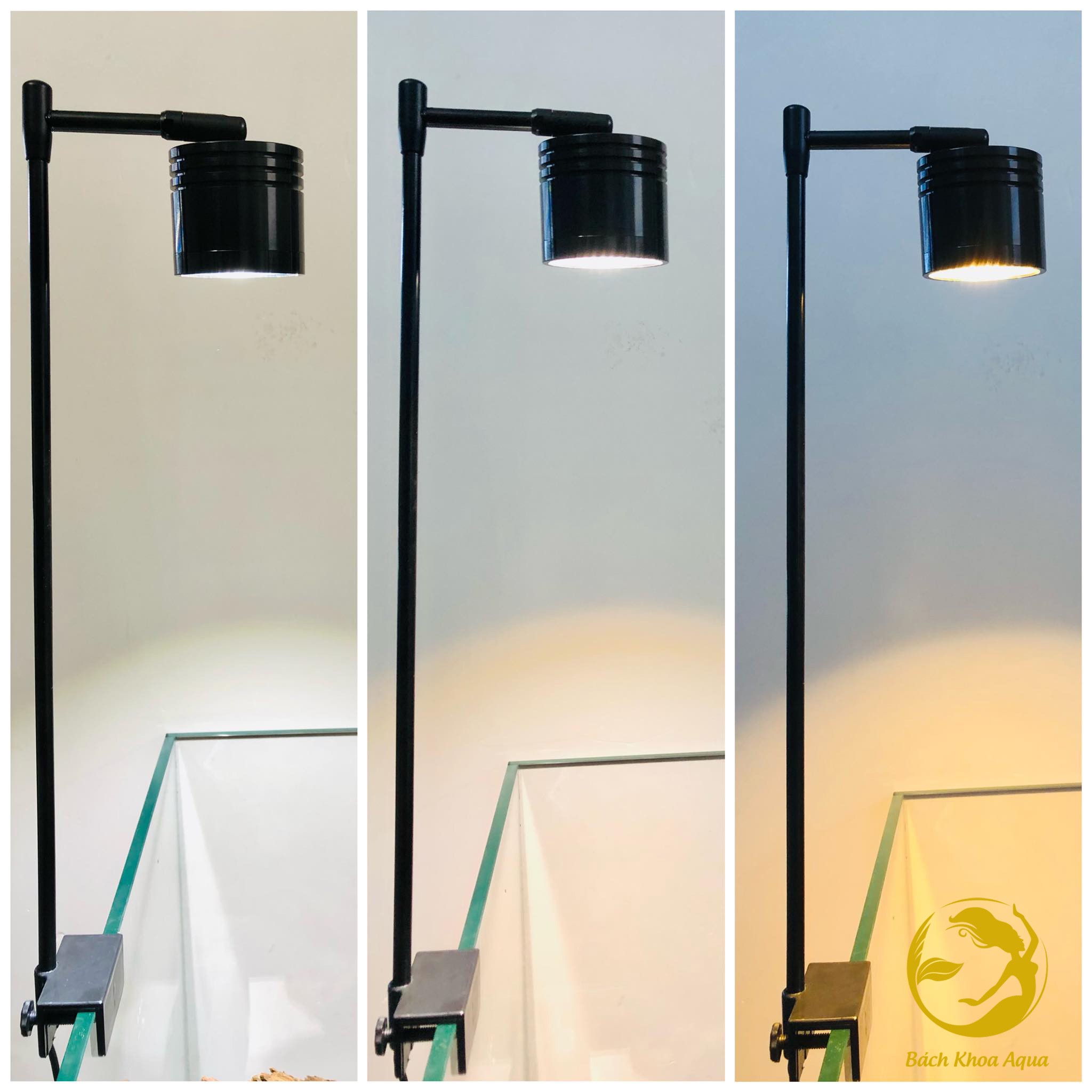 Đèn Led rọi Kaokui 3 chế độ màu 10w