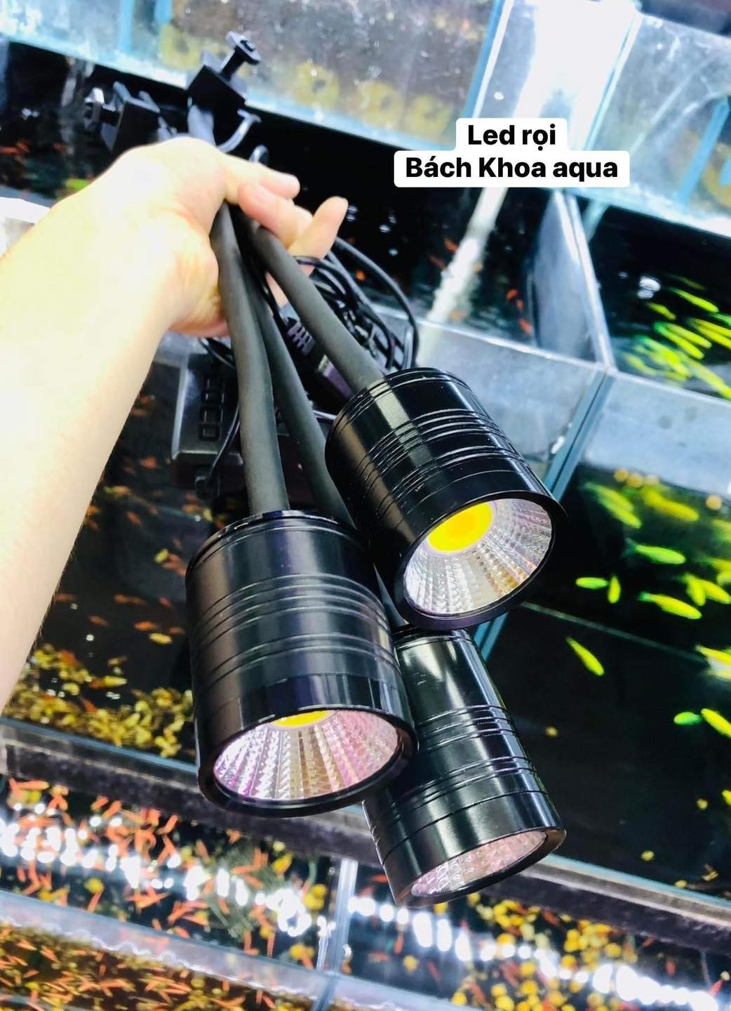 Led rọi Coco 3 chế độ màu 3w-5w-7w