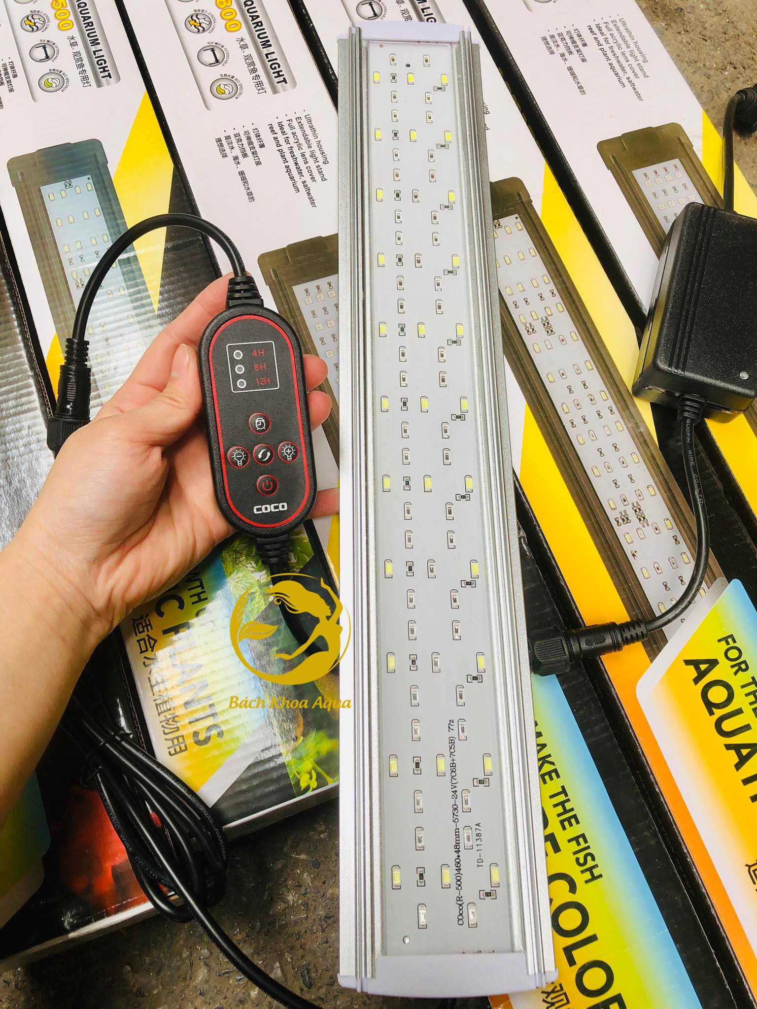 Đèn Led COCO WRGB có hẹn giờ và tăng giảm độ sáng