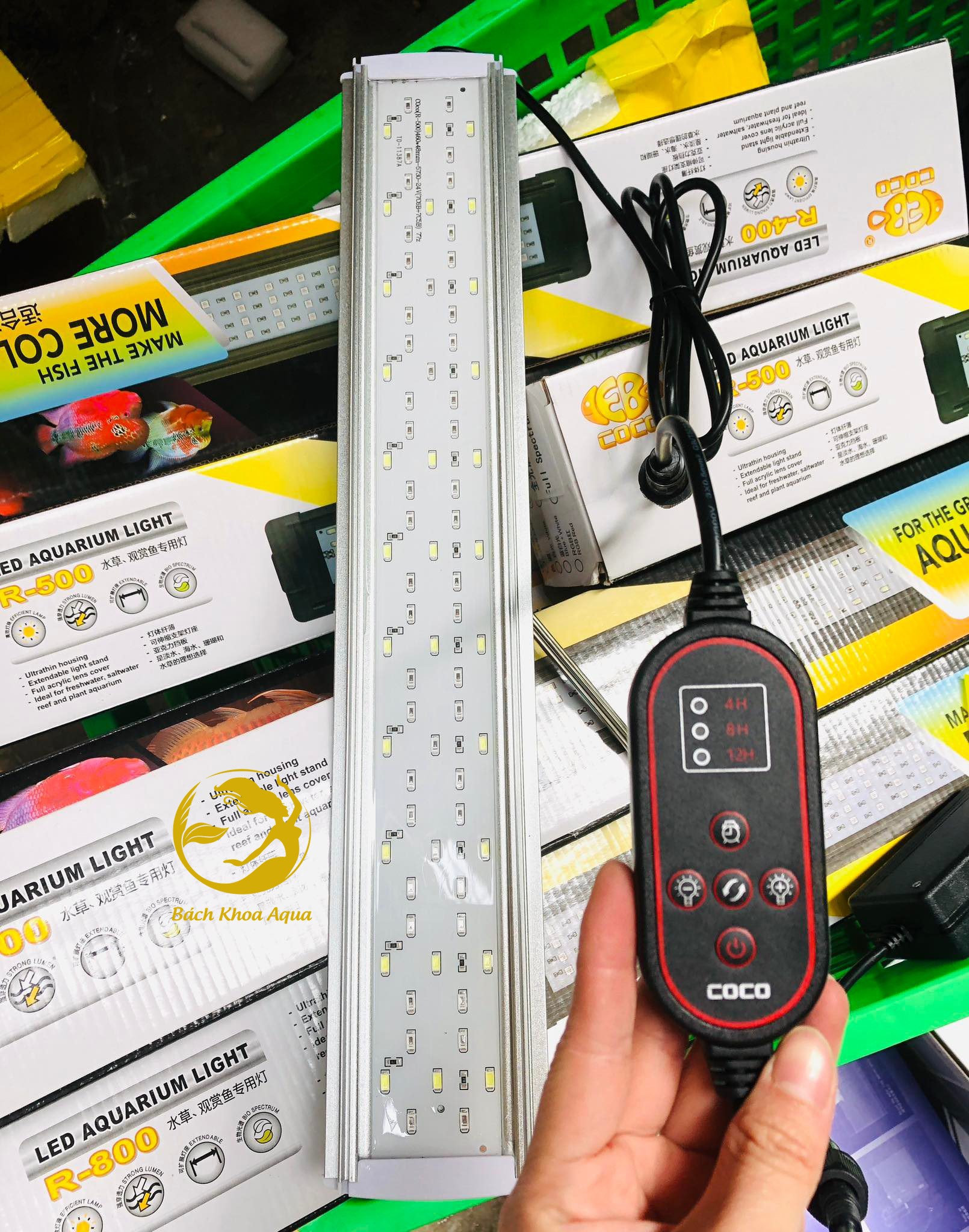 Đèn Led COCO WRGB có hẹn giờ và tăng giảm độ sáng