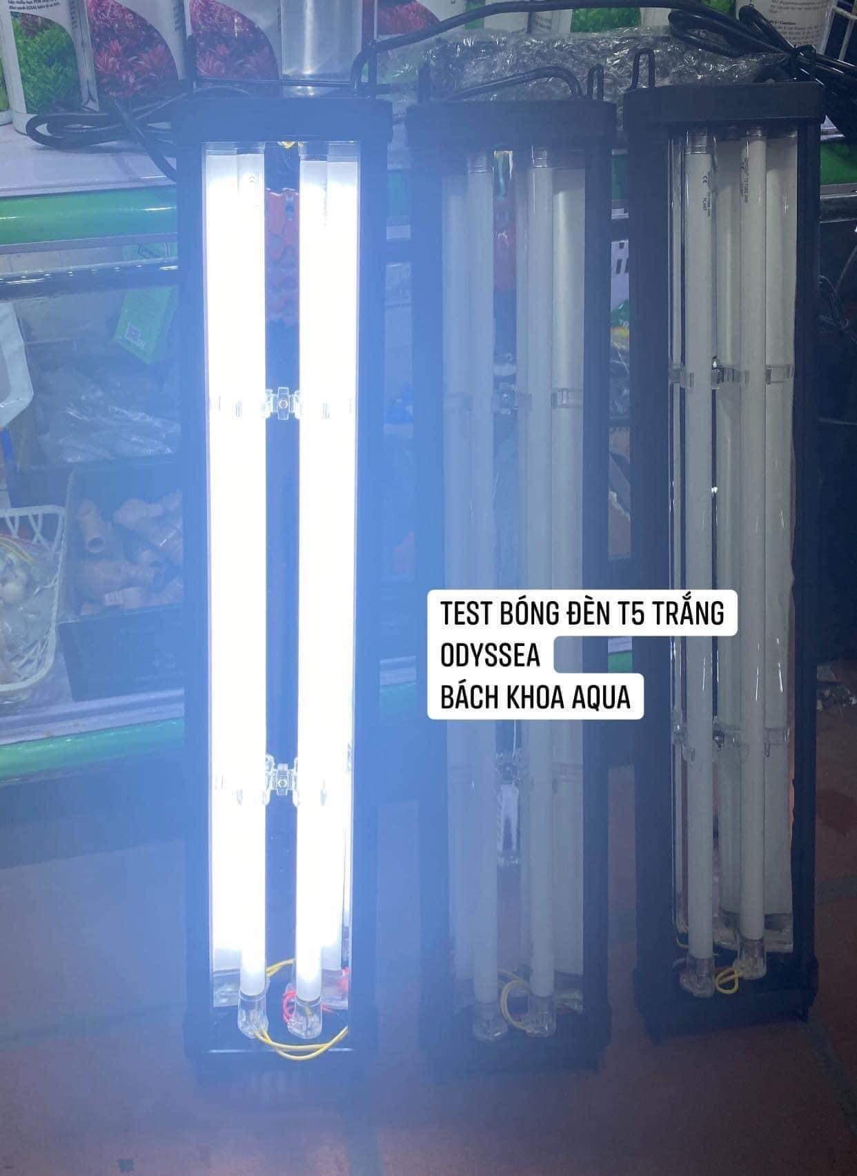 Đèn Bóng T5HO Dual Odyssea 60cm-90cm-120cm-150cm