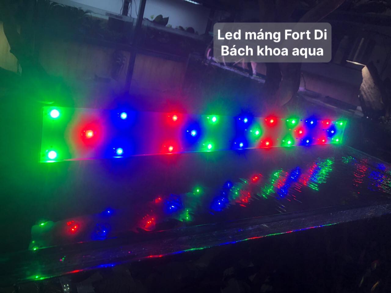 Đèn Led Fort Di - RGB kích màu siêu sáng
