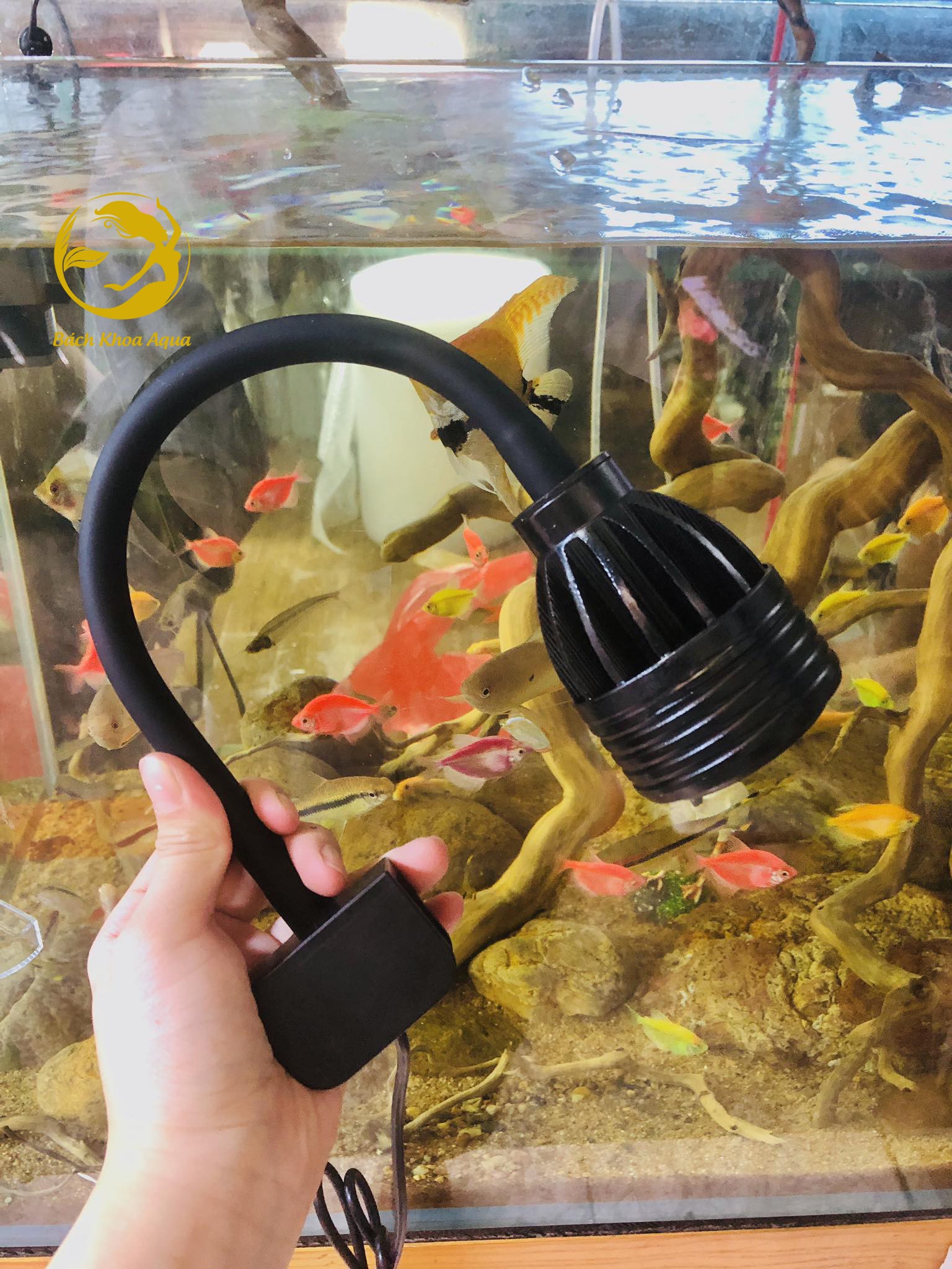 Đèn Led rọi 3 chế độ màu - điều chỉnh tiêu cự 9w/12w cho bể cá