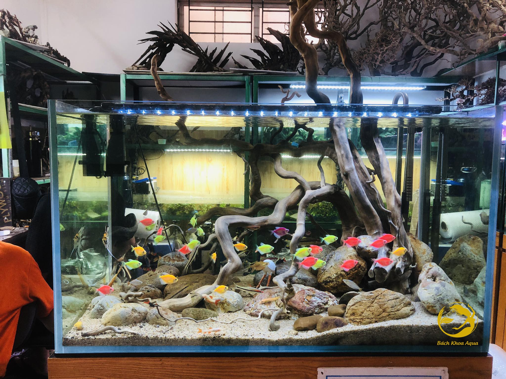 Đèn Led Heeba Mix Màu 40cm-60cm-80cm-100cm