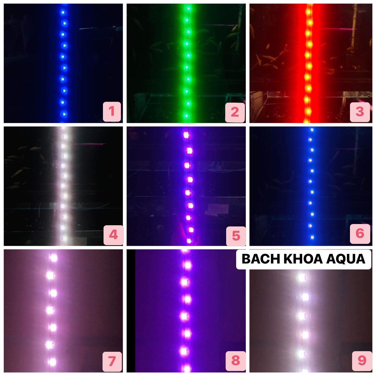 Đèn Led máng 9 chế độ màu KZJ - kích màu siêu đẹp cho bể cá