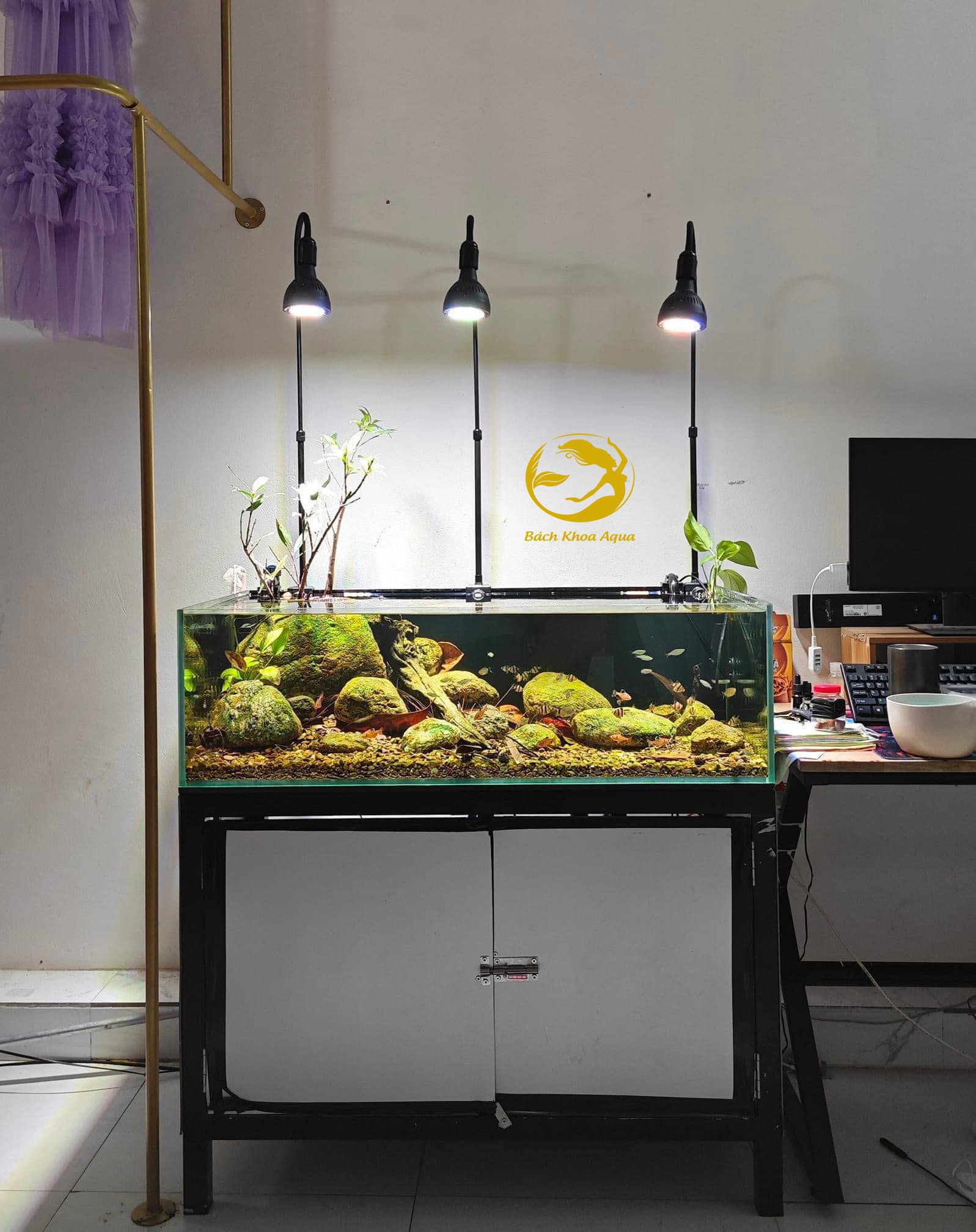 Đèn Led Focus Light Biotop 35w - 45w cho bể cá thủy sinh
