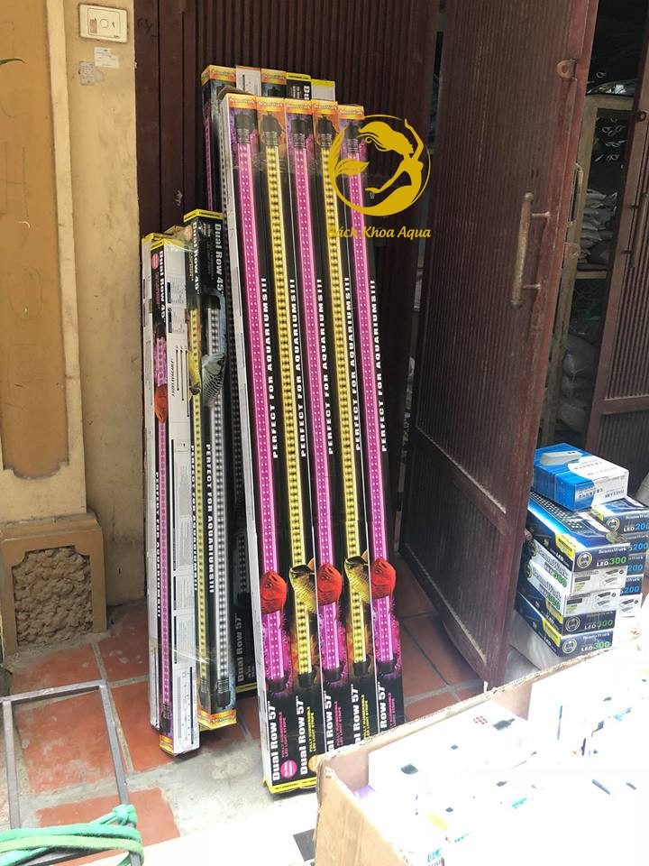 ĐÈN TANNING BEAMSWORK
