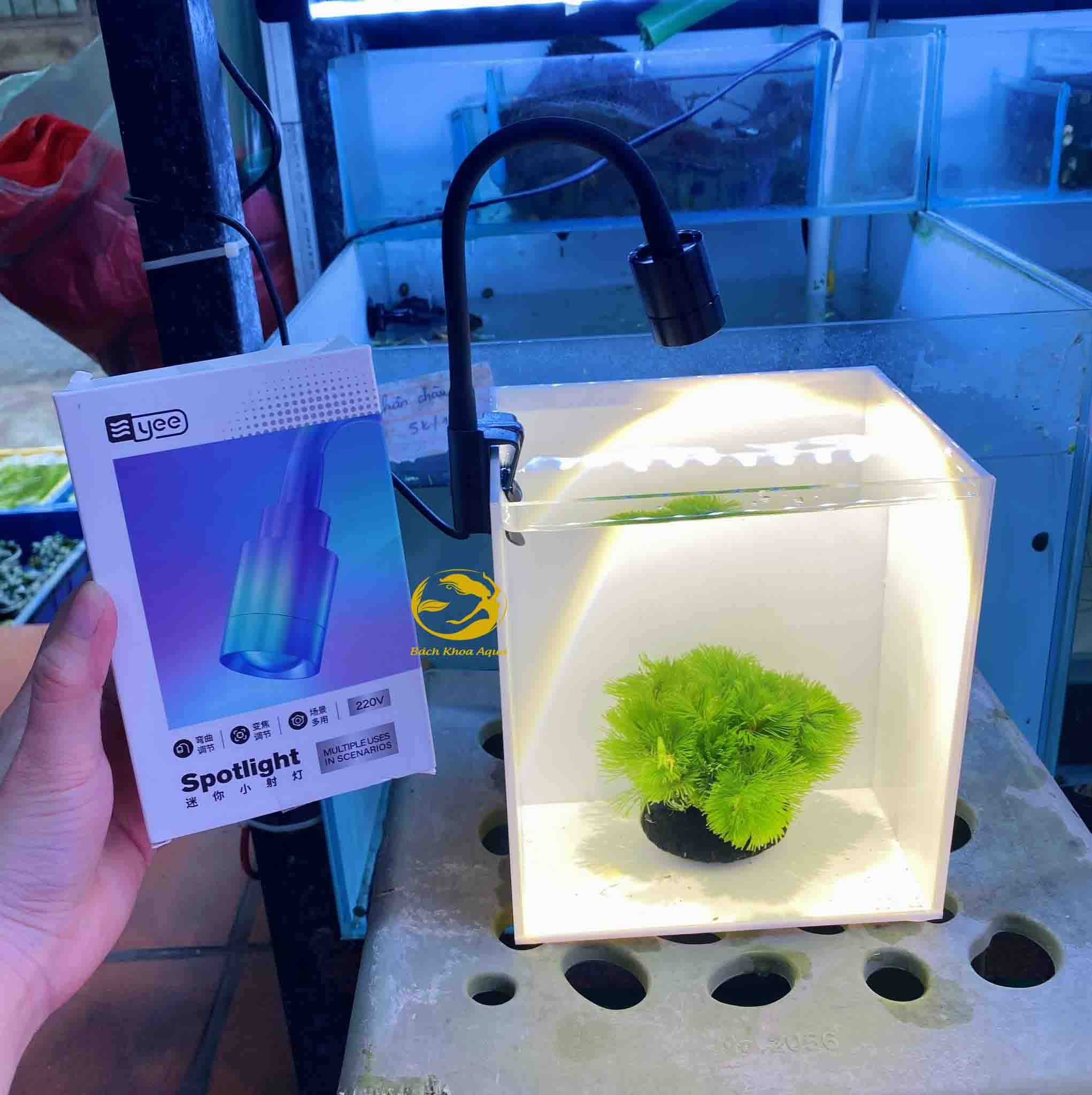 Đèn led rọi mini YEE điều chỉnh tiêu cự