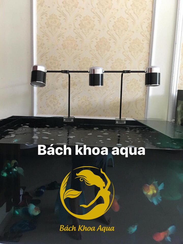 ĐÈN LED 2 CHÙY-3 CHÙY-5 CHÙY