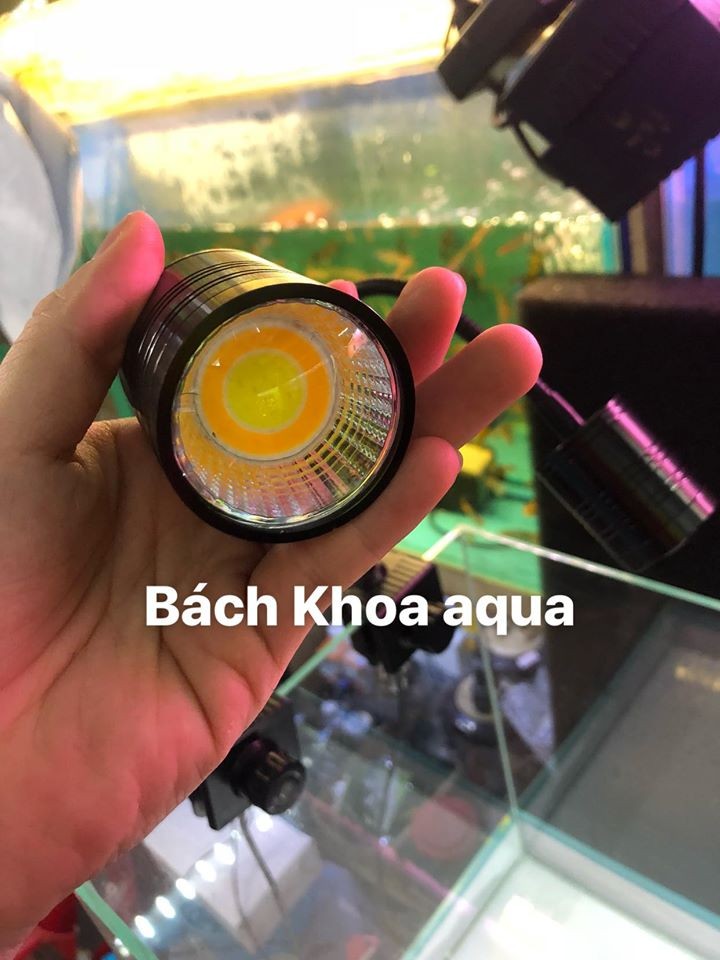 Đèn LED rọi 3W-5W-7W-12W 3 chế độ màu