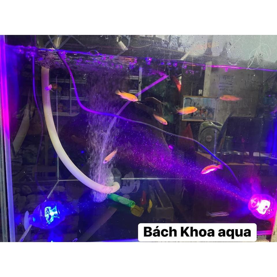 Đèn chìm trong nước