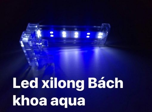 ĐÈN LED KẸP XILONG